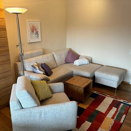 Modernes Mit Panoramablick Und Skibus Mühlbach am Hochkönig