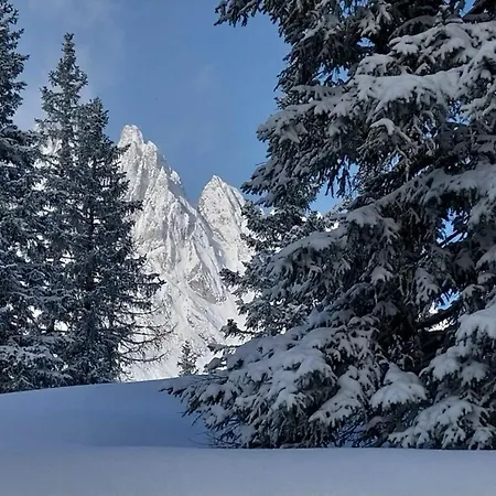 Modernes Mit Panoramablick Und Skibus