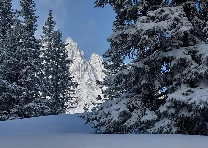 Modernes Mit Panoramablick Und Skibus